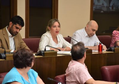 El Pleno aprueba por unanimidad la moción del PSOE para rechazar la implantación de una macroplanta de biogás en Romica y velar por una ciudad “limpia y sostenible”