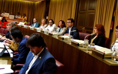 A PESAR DEL VOTO EN CONTRA DEL PP, EL PLENO MUNICIPAL RESPALDA LA MOCIÓN SOCIALISTA PARA PROMOVER EL RESPETO HACIA LA DIVERSIDAD SEXUAL Y DE GÉNERO