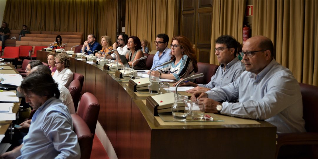 APROBADAS LAS MOCIONES SOCIALISTAS PARA PONER EN MARCHA EL PROGRAMA MUJER Y DEPORTE Y QUE ALBACETE SE SUME AL AÑO EUROPEO DEL PATRIMONIO CULTURAL