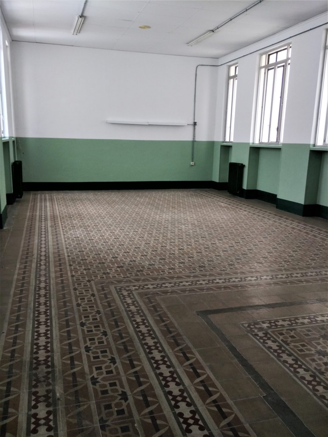 EL GRUPO SOCIALISTA SOLICIQUE SE CREE UNA COMISIÓN DE EXPERTOS PARA EVALUAR EL VALOR Y CÓMO PRESERVAR LAS BALSOSAS DEL COLEGIO ‘PRIMO DE RIVERA’