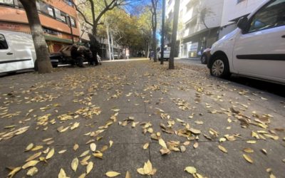 El Grupo Socialista denuncia que el Equipo de Gobierno del señor Serrano se salta los órganos municipales competentes en la tramitación de expedientes