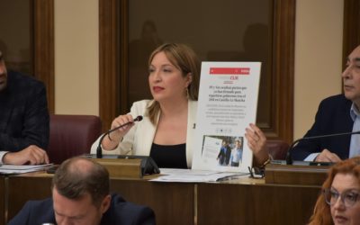 Amparo Torres: “Con estos Presupuestos, Manuel Serrano consuma su pacto de gobernabilidad con Vox”