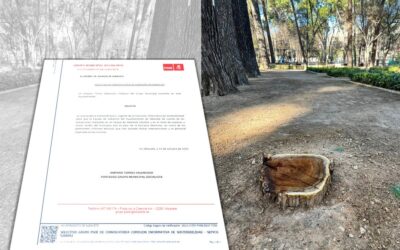 El PSOE solicita la convocatoria extraordinaria y urgente de la Comisión de Sostenibilidad, para que se informe y rinda cuentas de las actuaciones en el Parque de Abelardo Sánchez tras el paso de la borrasca Herminia