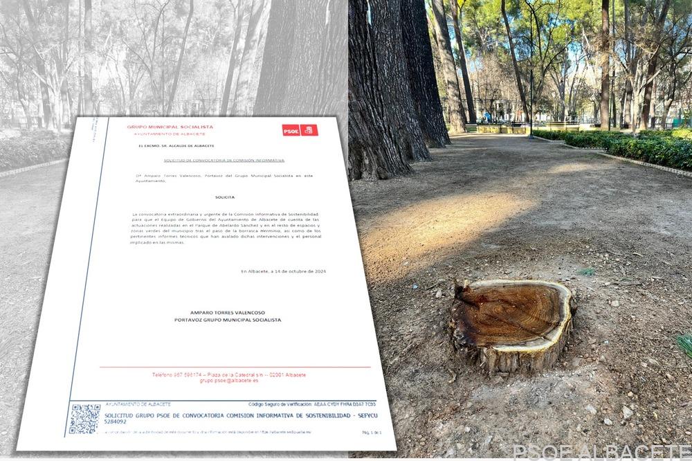 El PSOE solicita la convocatoria extraordinaria y urgente de la Comisión de Sostenibilidad, para que se informe y rinda cuentas de las actuaciones en el Parque de Abelardo Sánchez tras el paso de la borrasca Herminia
