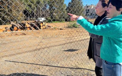 El Grupo Municipal Socialista exige más diálogo ciudadano en la gestión del arbolado urbano, tras la eliminación de medio centenar de olmos en el Sector 3