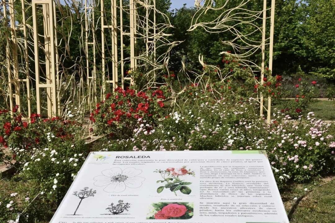 Cerca de 33.500 personas han visitado el jardín botánico en 2024, lo que demuestra su interés.