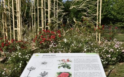 Cerca de 33.500 personas han visitado el jardín botánico en 2024, lo que demuestra su interés.