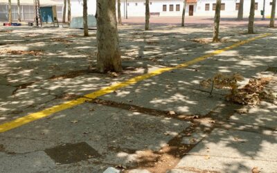 El Grupo Municipal Socialista denuncia la falta de soluciones del alcalde ante los problemas de accesibilidad en los Ejidos de la Feria