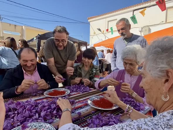 Tradición, folklore, gastronomía y artesanía se unen en Santa Ana, a través de su Festival de la Rosa del Azafrán