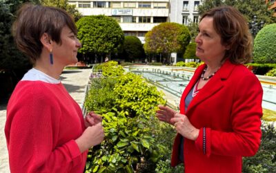 El PSOE denuncia el «caos económico» de Serrano en la gestión de zonas verdes, con 16 millones pagados con un contrato caducado y un sobrecoste de 1,5 millones al año