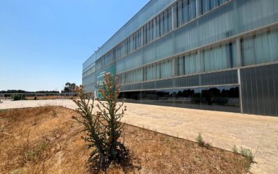 El Grupo Municipal Socialista señala que con Manuel Serrano “ni tenemos Palacio de Congresos, ni plan de turismo de negocios, como prometió hace tres años”