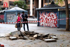El Grupo Municipal Socialista alerta del riesgo para la seguridad en la ciudad por el abandono del arbolado y reclama soluciones urgentes ante los últimos incidentes